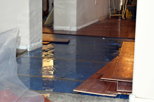 Professional Basement Flood Cleanup technician working in Lynn Haven, FL